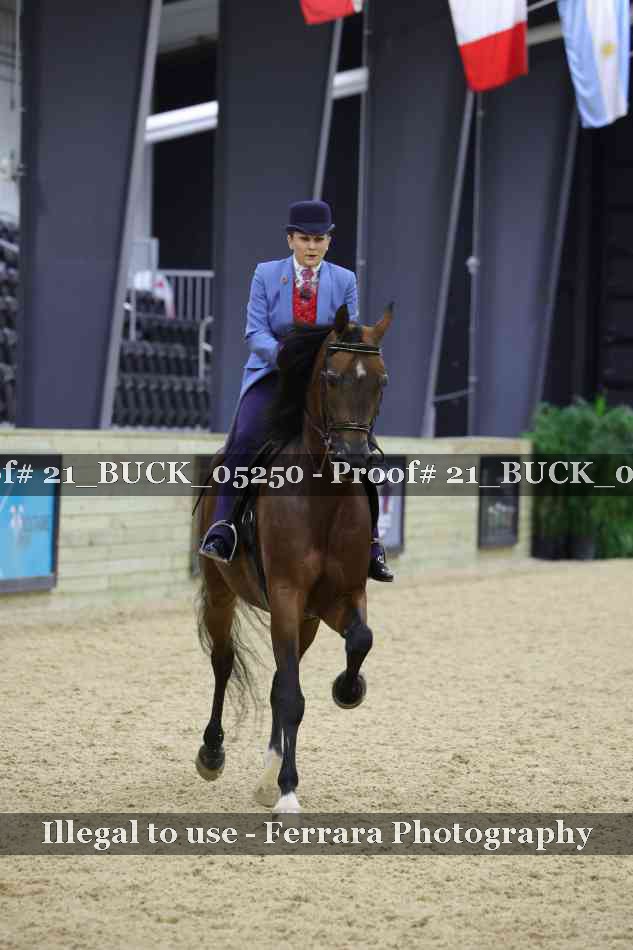 Proof Number 21_BUCK_05250