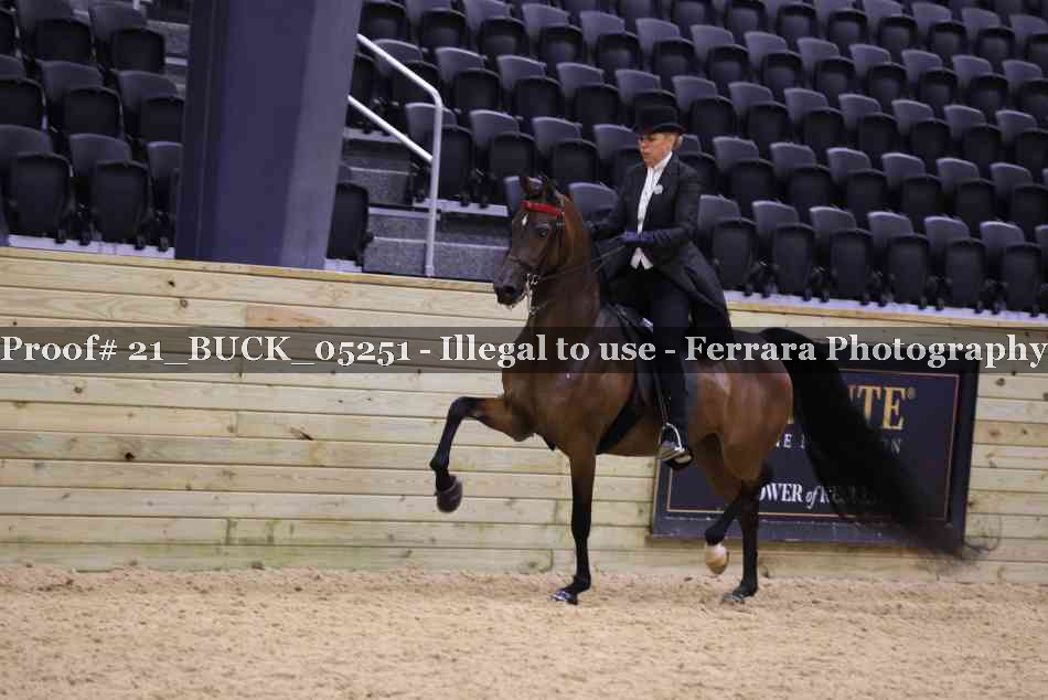 Proof Number 21_BUCK_05251