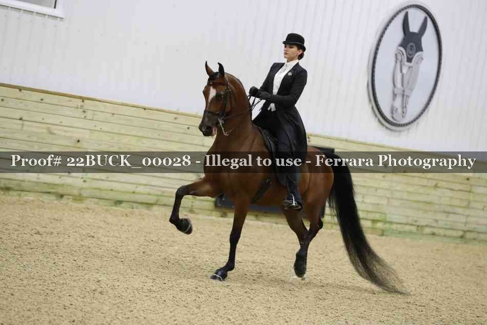 Proof Number 22BUCK_00028