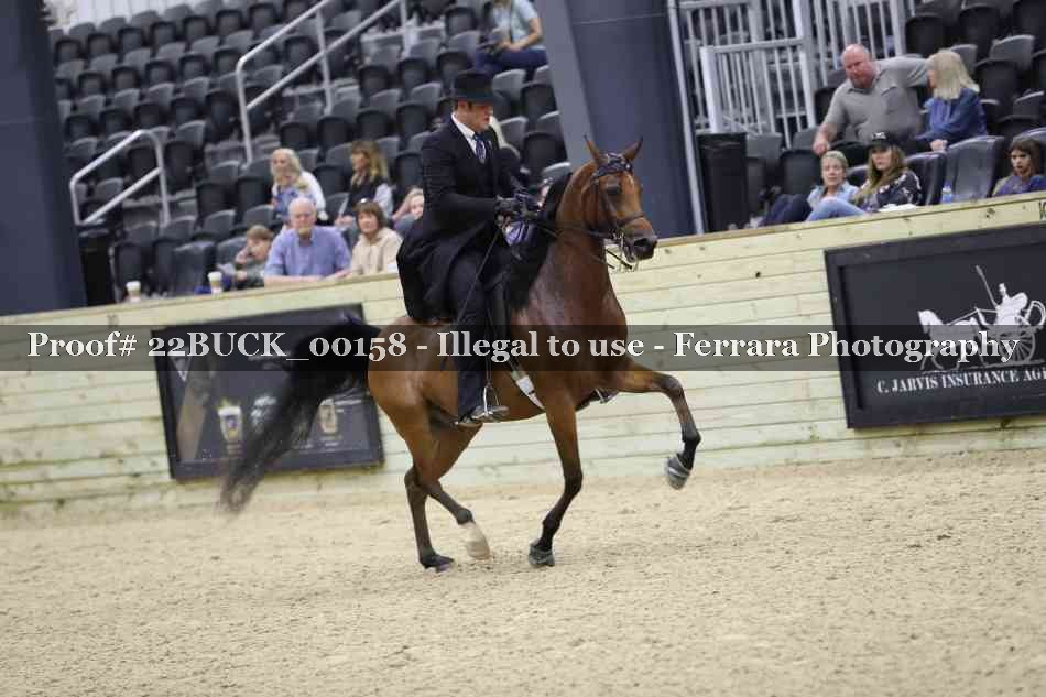 Proof Number 22BUCK_00158