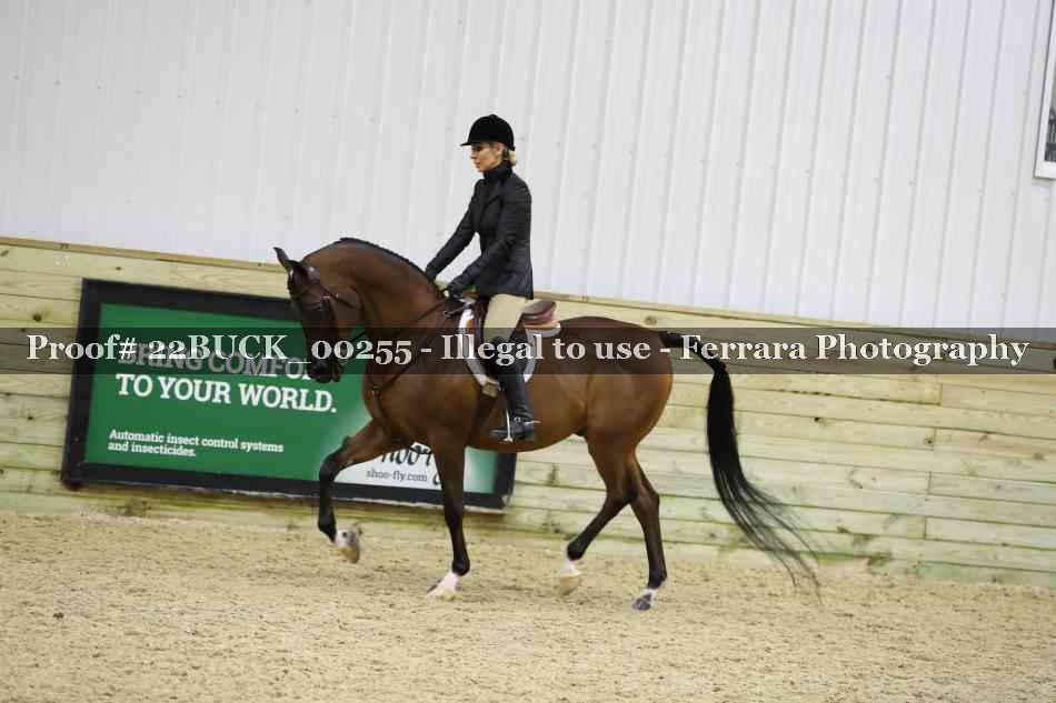 Proof Number 22BUCK_00255