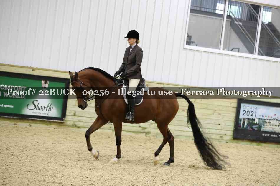 Proof Number 22BUCK_00256