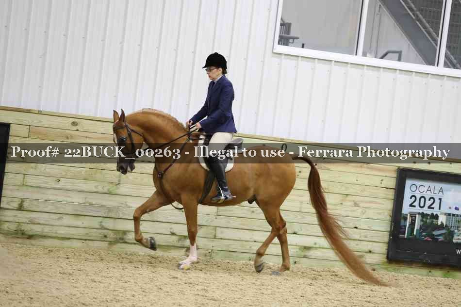 Proof Number 22BUCK_00263