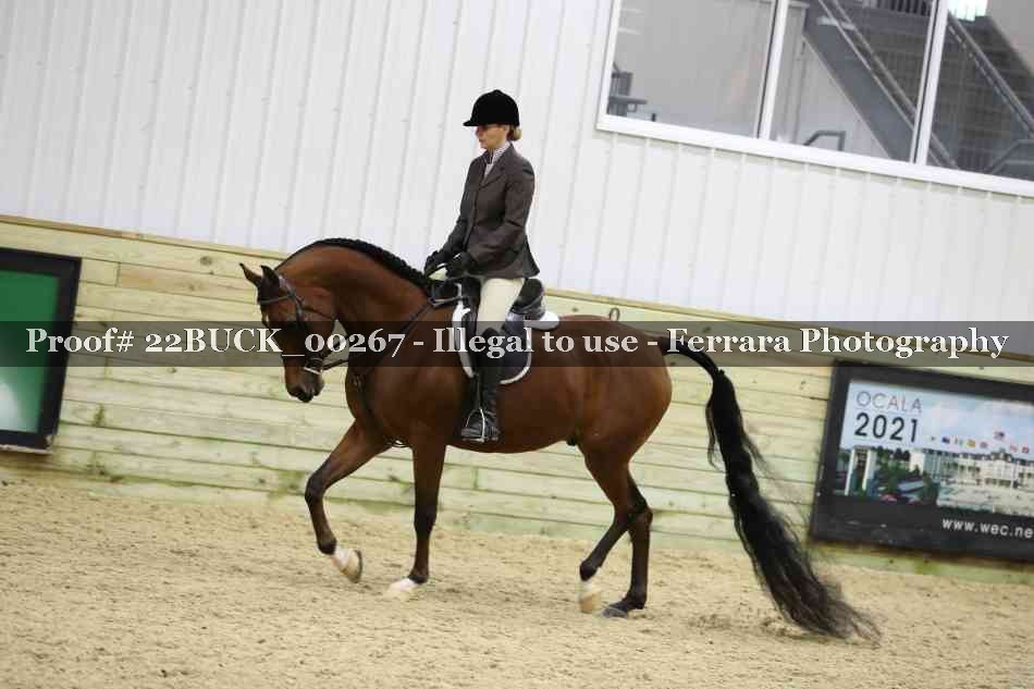 Proof Number 22BUCK_00267