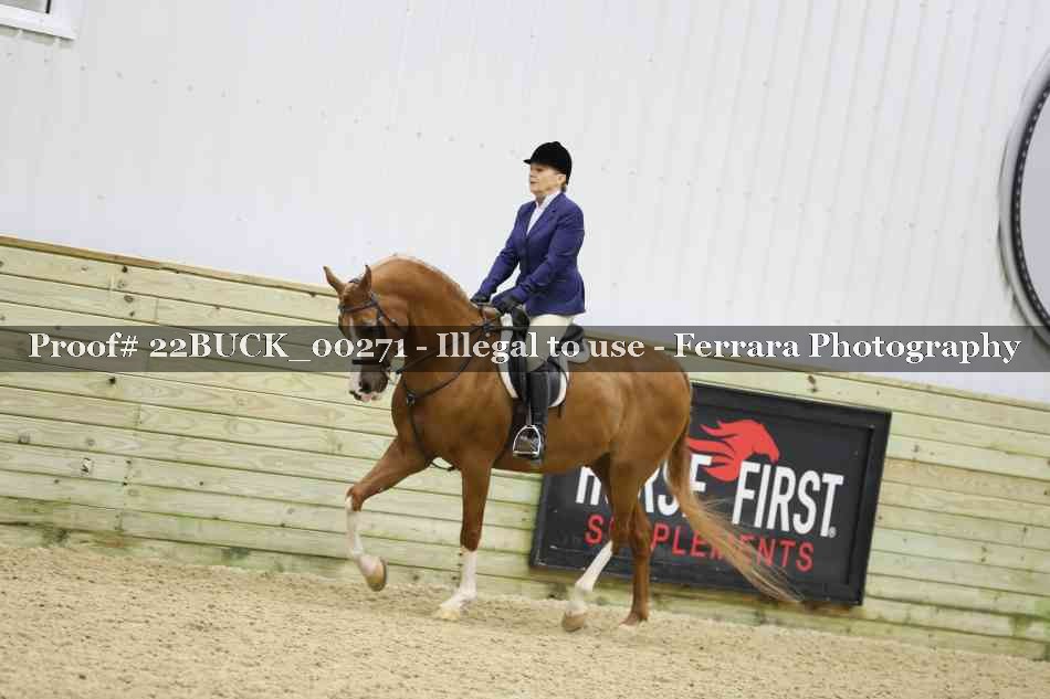 Proof Number 22BUCK_00271