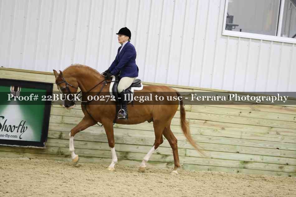 Proof Number 22BUCK_00272
