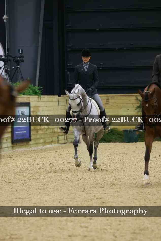 Proof Number 22BUCK_00277