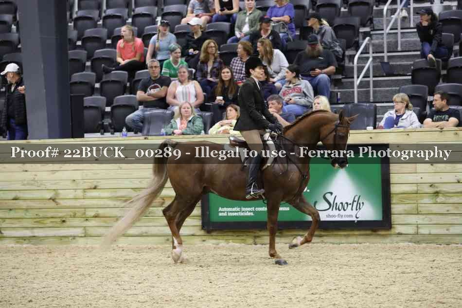 Proof Number 22BUCK_00289