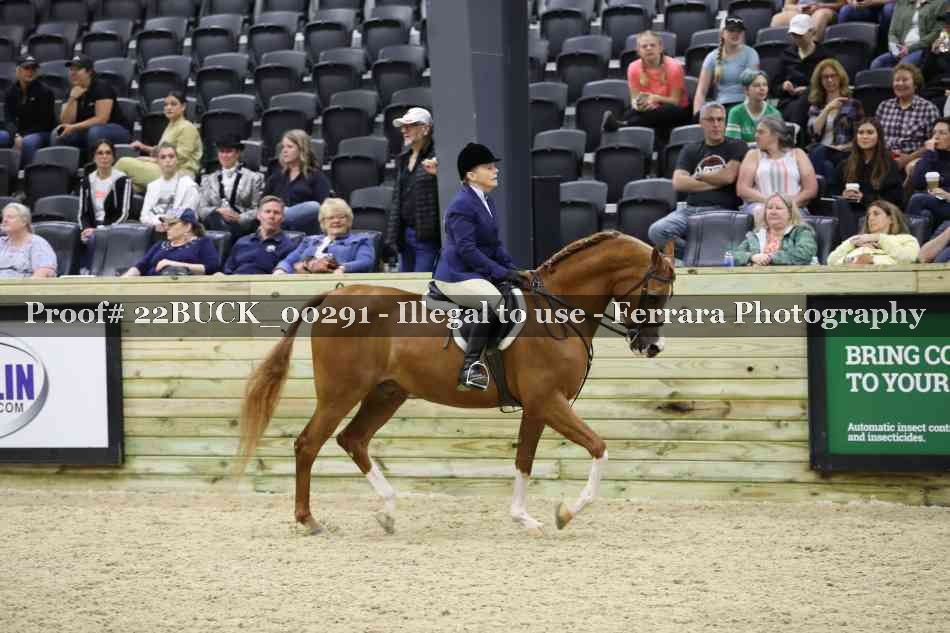 Proof Number 22BUCK_00291