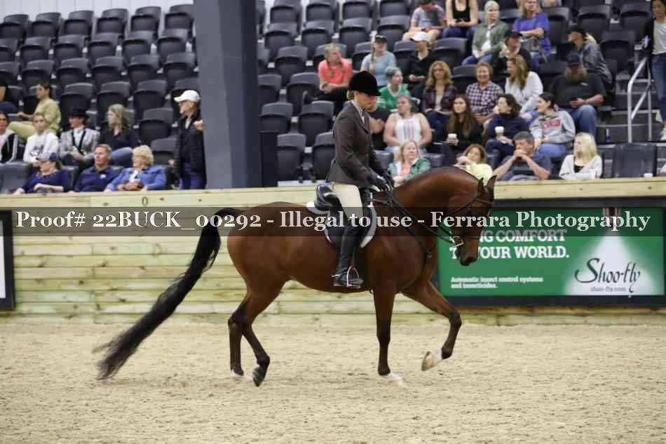 Proof Number 22BUCK_00292