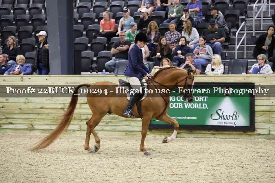 Proof Number 22BUCK_00294