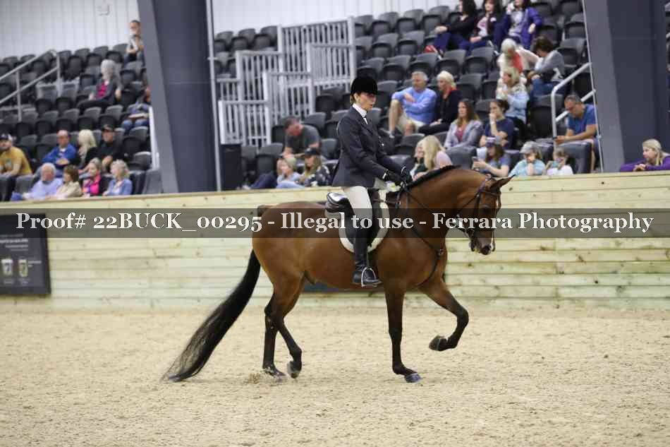 Proof Number 22BUCK_00295