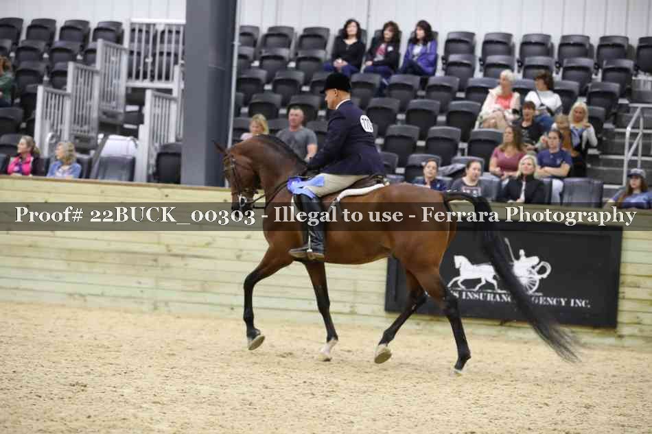 Proof Number 22BUCK_00303