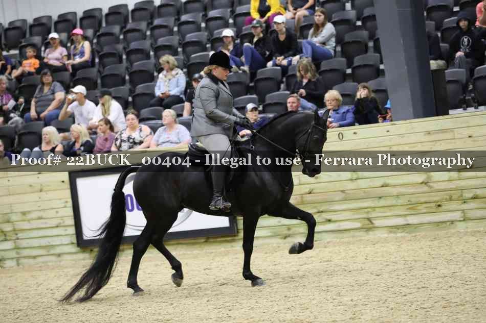 Proof Number 22BUCK_00404