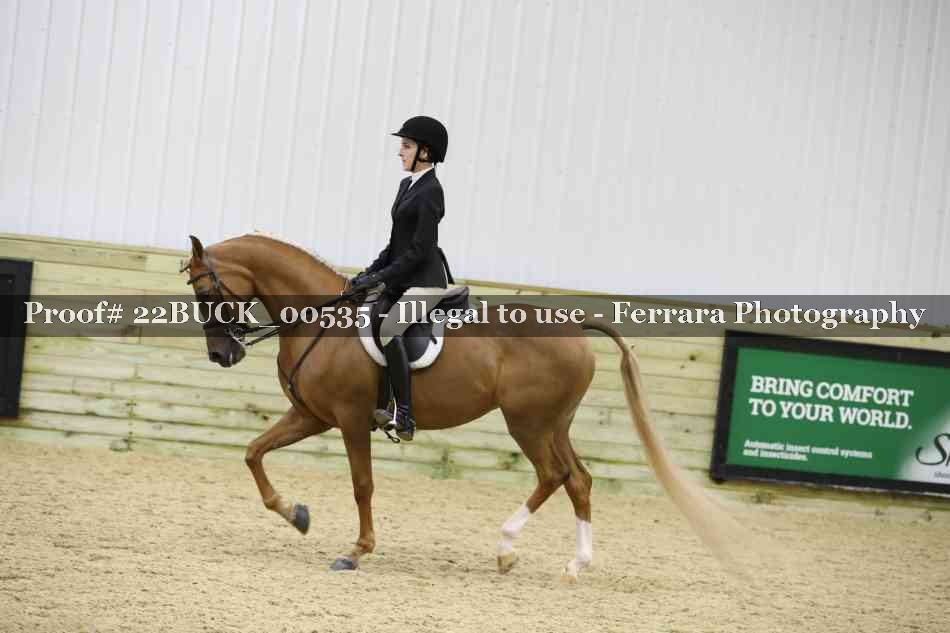 Proof Number 22BUCK_00535