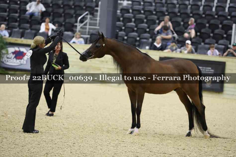 Proof Number 22BUCK_00639