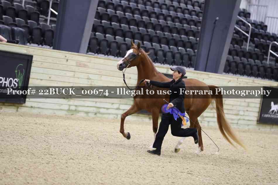 Proof Number 22BUCK_00674