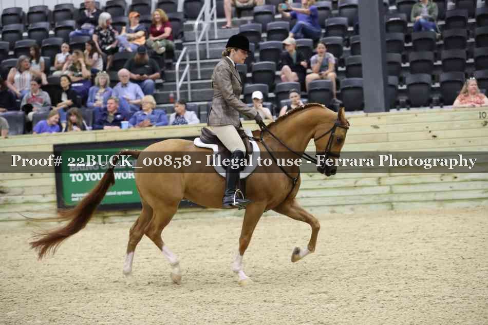 Proof Number 22BUCK_00858