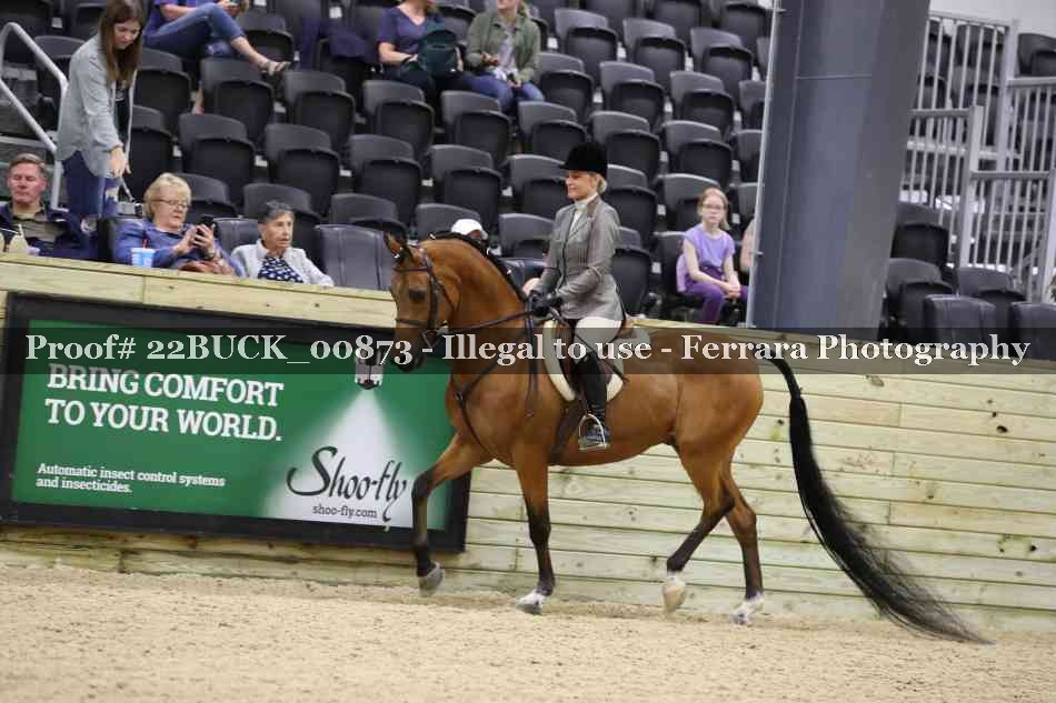 Proof Number 22BUCK_00873