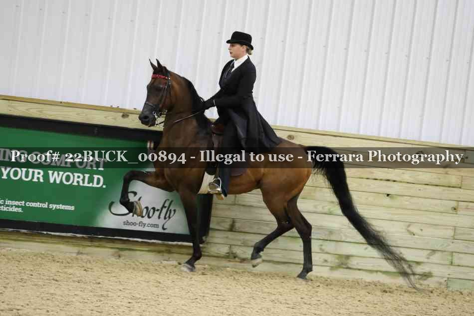 Proof Number 22BUCK_00894