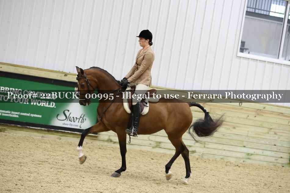 Proof Number 22BUCK_00995