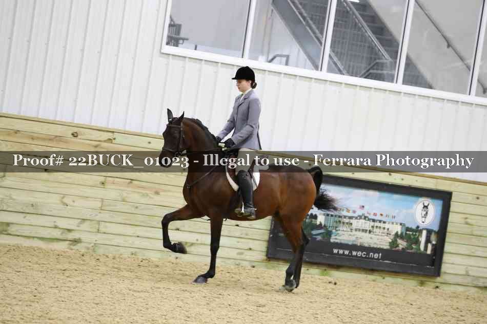 Proof Number 22BUCK_01023