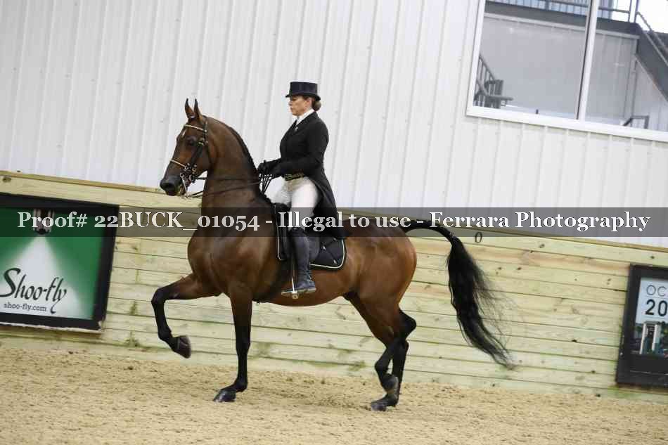 Proof Number 22BUCK_01054