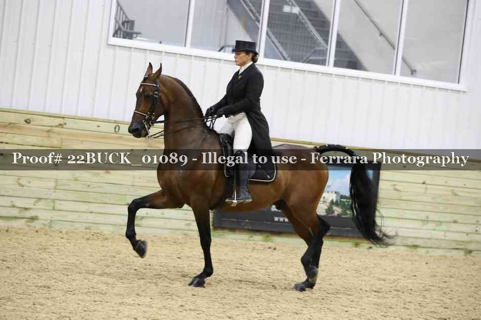 Proof Number 22BUCK_01089