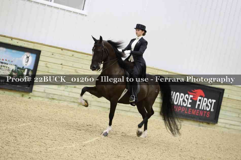 Proof Number 22BUCK_01260
