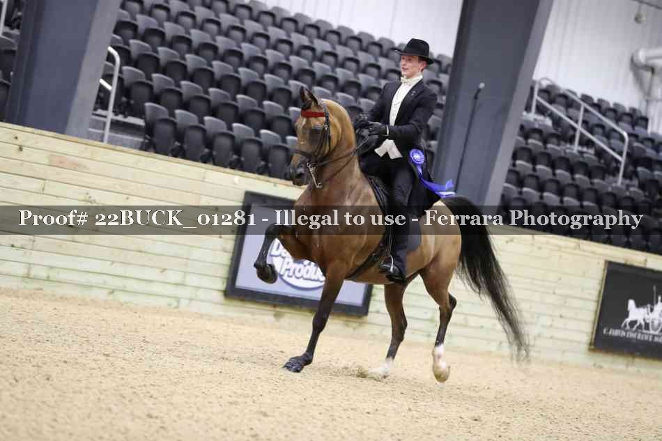 Proof Number 22BUCK_01281