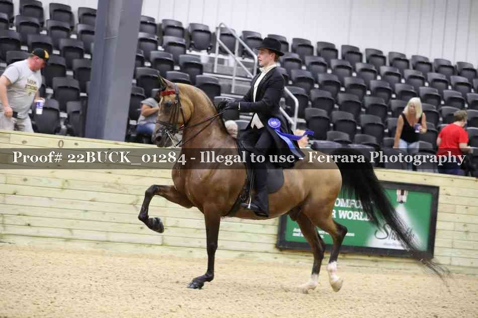 Proof Number 22BUCK_01284