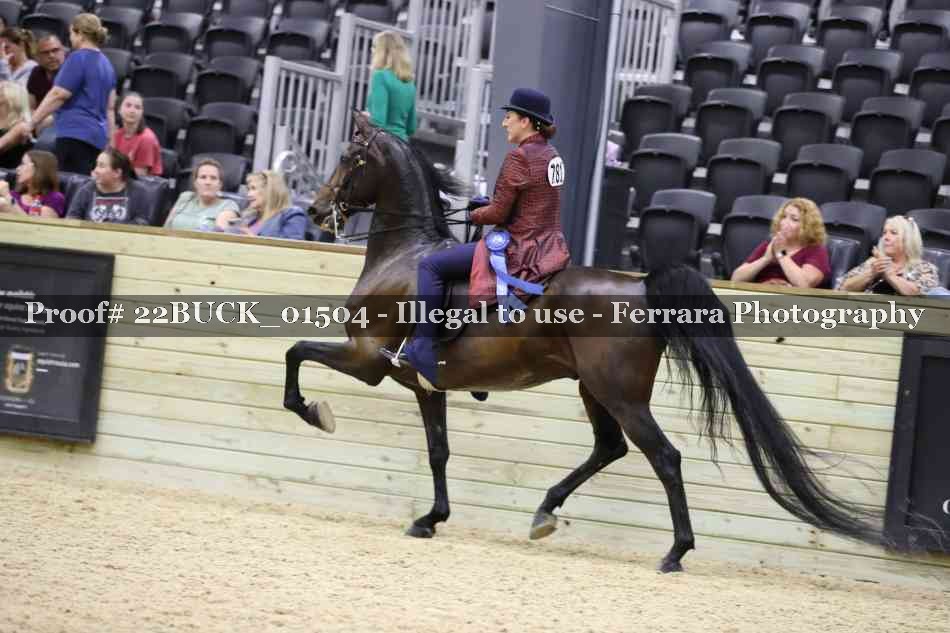 Proof Number 22BUCK_01504