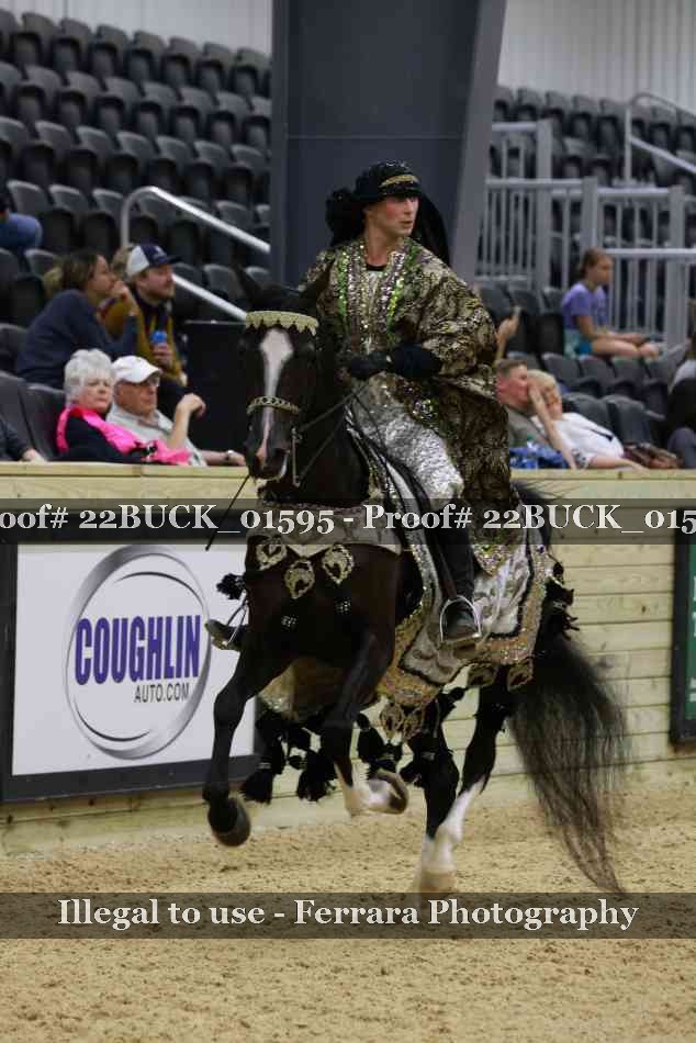Proof Number 22BUCK_01595