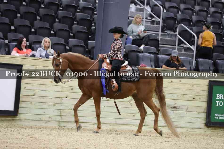 Proof Number 22BUCK_01900