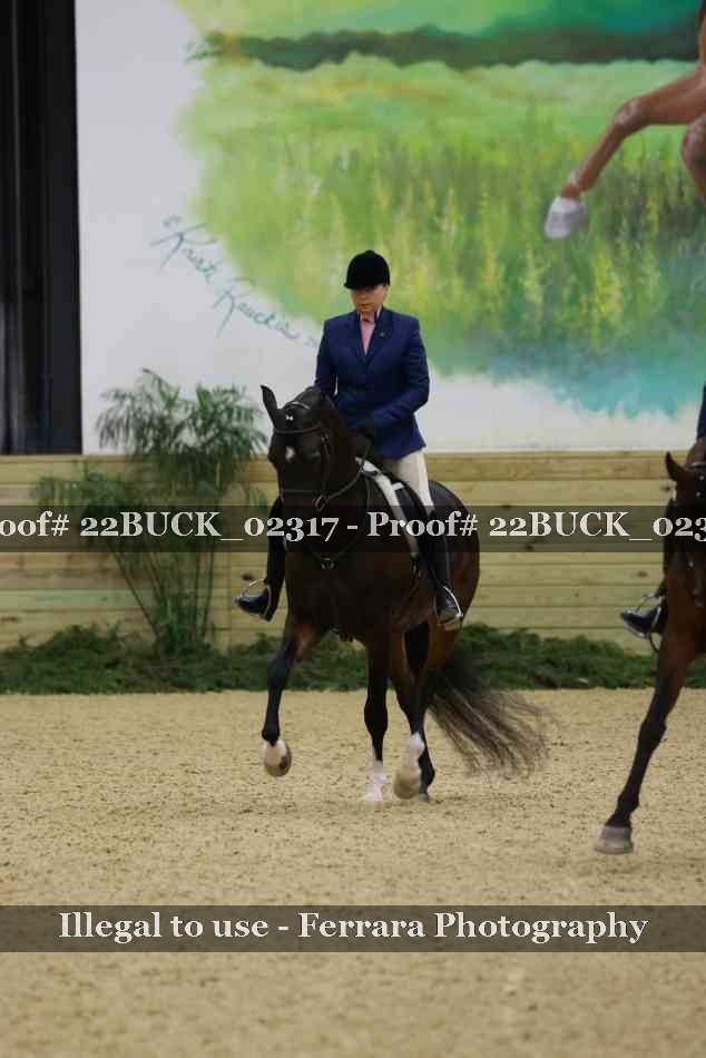 Proof Number 22BUCK_02317