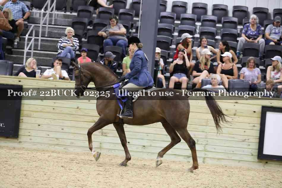 Proof Number 22BUCK_02325