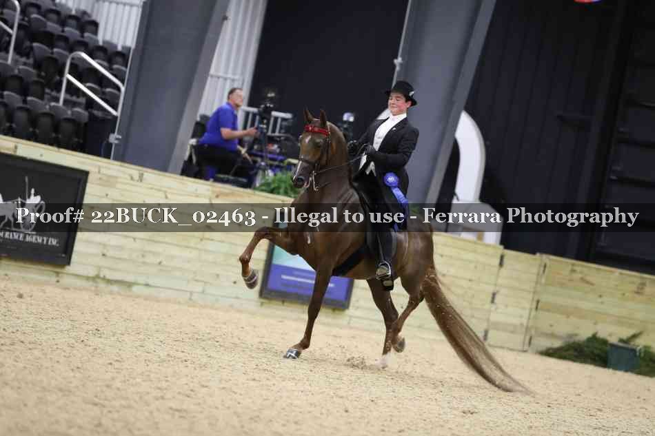 Proof Number 22BUCK_02463