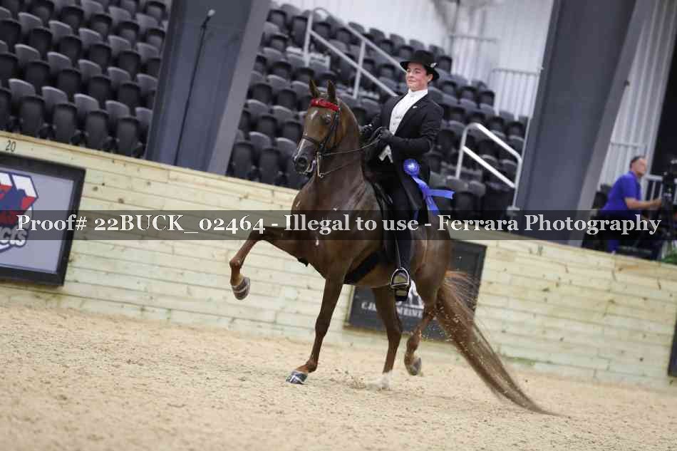 Proof Number 22BUCK_02464