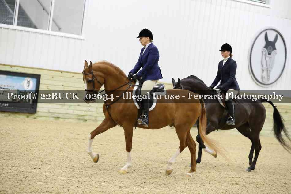 Proof Number 22BUCK_02634