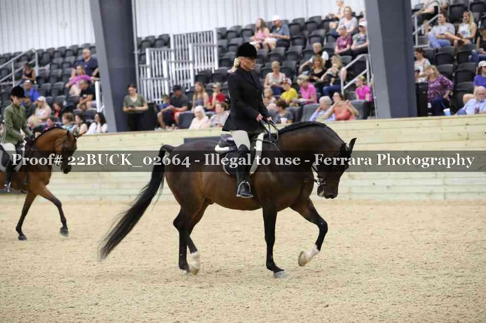 Proof Number 22BUCK_02664