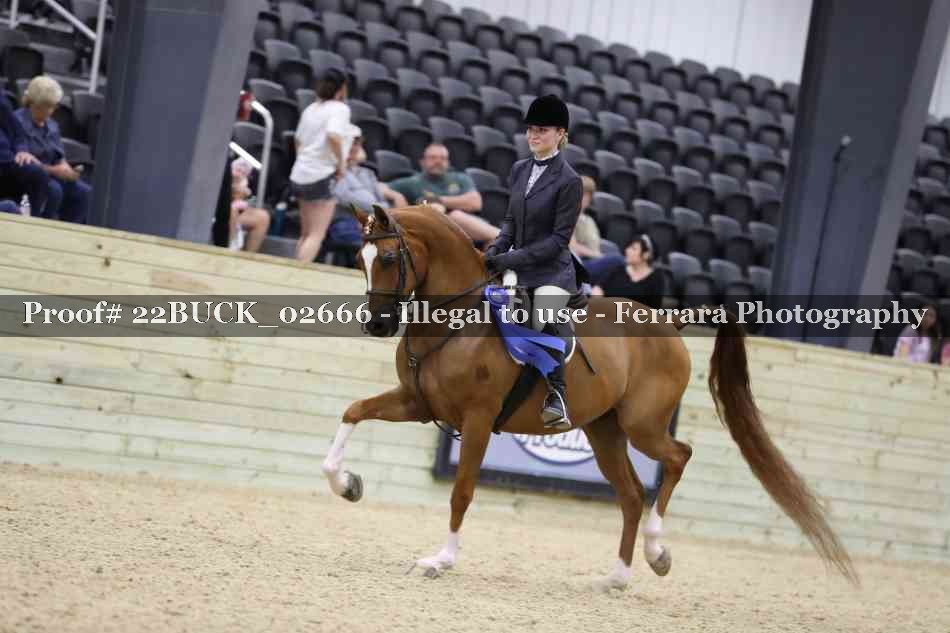 Proof Number 22BUCK_02666
