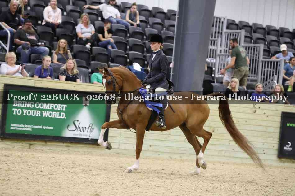 Proof Number 22BUCK_02668