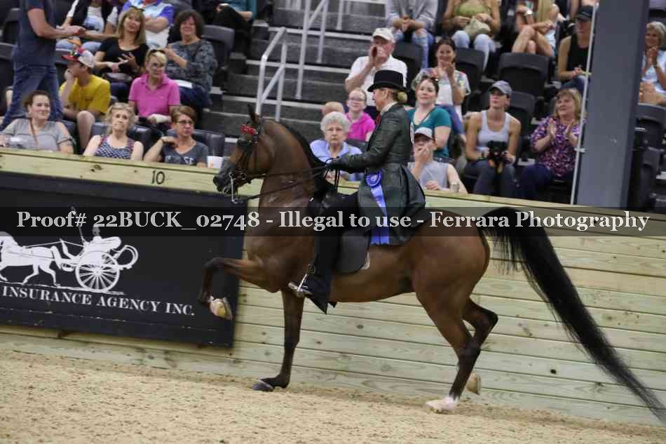 Proof Number 22BUCK_02748