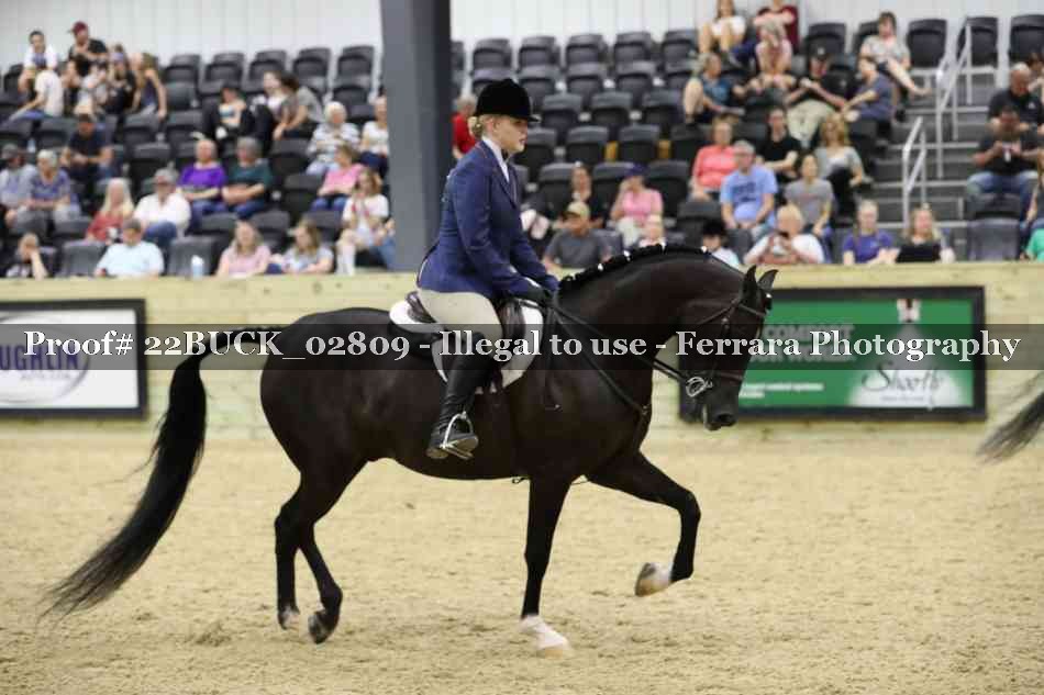 Proof Number 22BUCK_02809