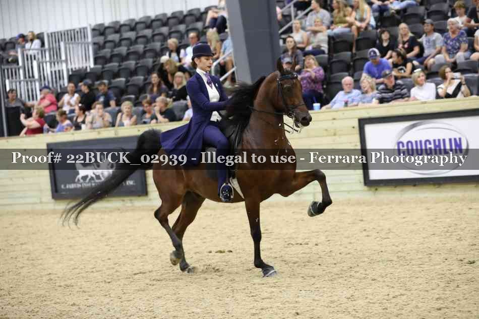 Proof Number 22BUCK_02939