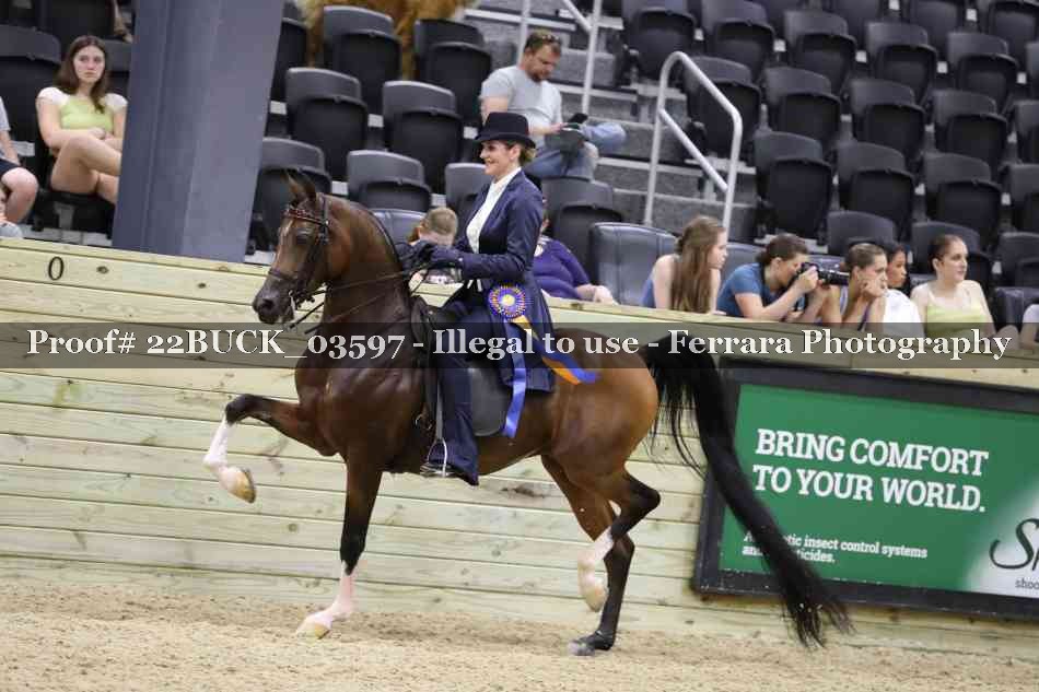 Proof Number 22BUCK_03597