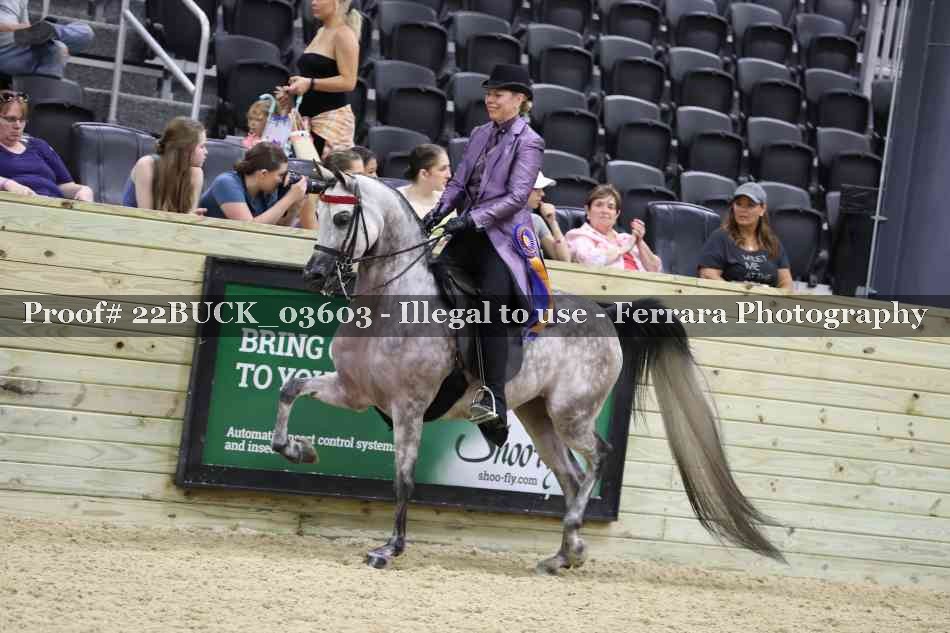 Proof Number 22BUCK_03603