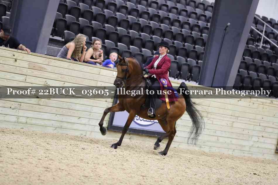 Proof Number 22BUCK_03605