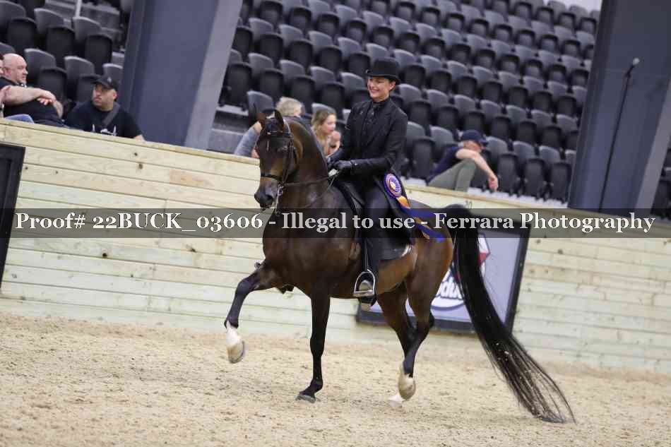 Proof Number 22BUCK_03606
