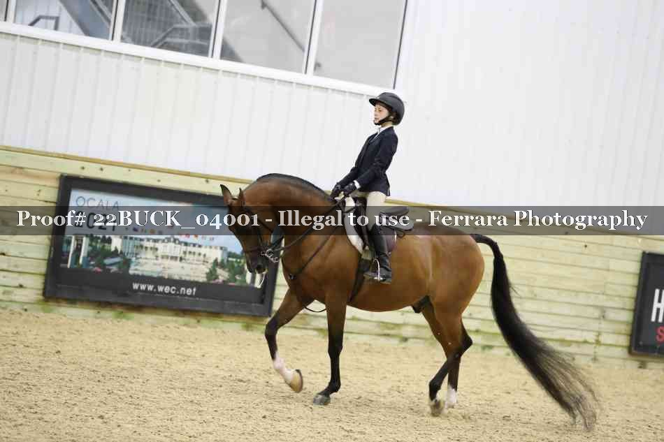 Proof Number 22BUCK_04001
